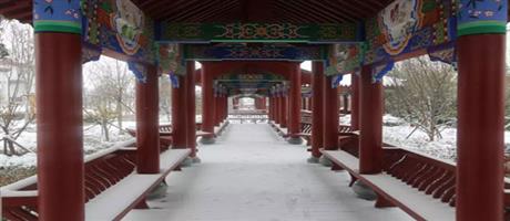 賈湖酒業雪景如畫（五）