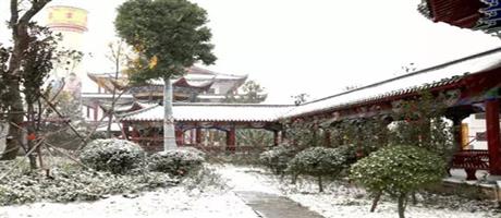 賈湖酒業雪景如畫（六）